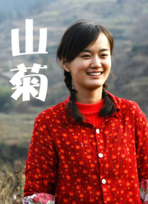 《捕风追影》破10亿 下一部爆款或许出自这里！